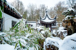 The Chinese Garden in winter (January 31, 2019) - photo: Wolfgang Stuppy; ©RUB