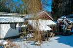 The Chinese Garden in winter (January 31, 2019) - photo: Wolfgang Stuppy; ©RUB