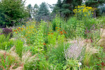 Herbaceous border opposite the display glasshouses - photo: Wolfgang Stuppy; ©RUB