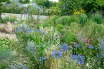 Herbaceous border opposite the display glasshouses - photo: Wolfgang Stuppy; ©RUB