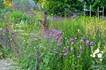 Herbaceous border opposite the display glasshouses - photo: Wolfgang Stuppy; ©RUB