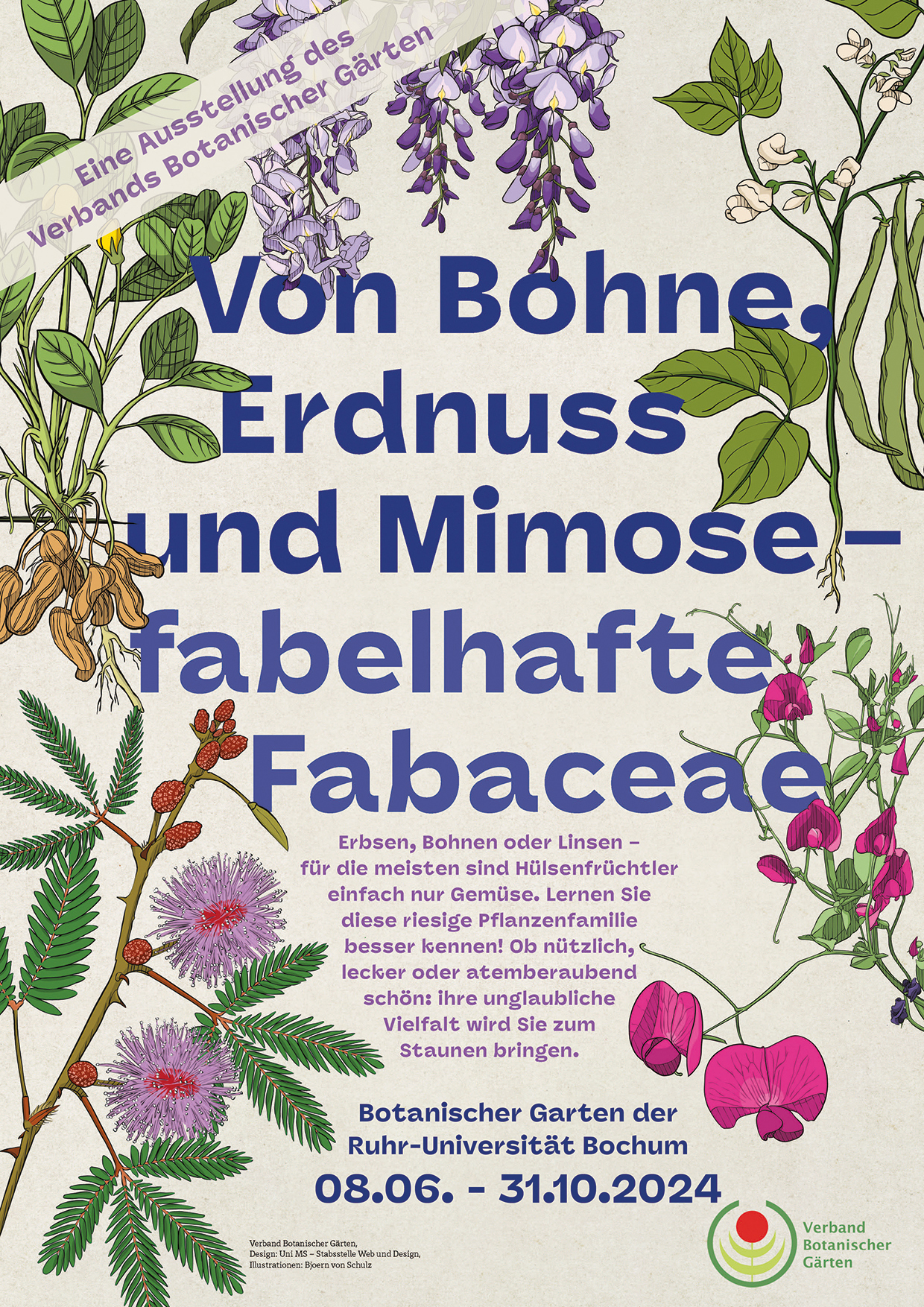 Fabelhafte Fabaceae Ausstellungsposter