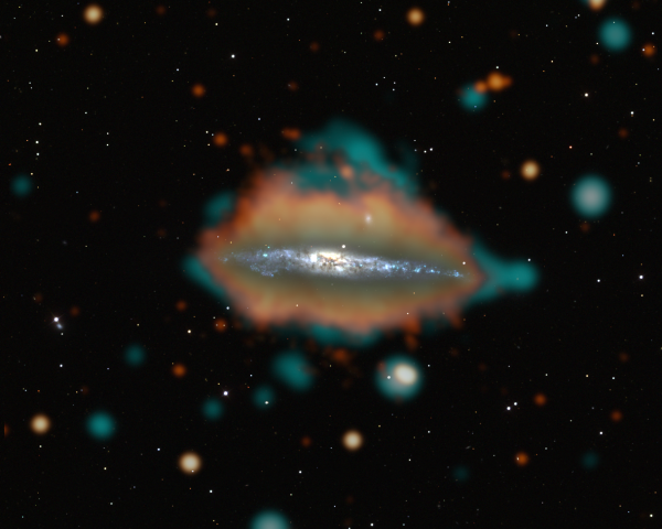 NGC4631 Overlay